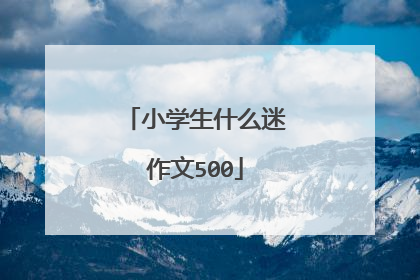 小学生什么迷作文500