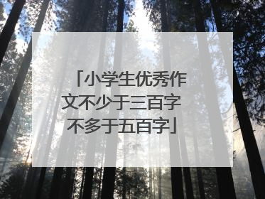 小学生优秀作文不少于三百字不多于五百字