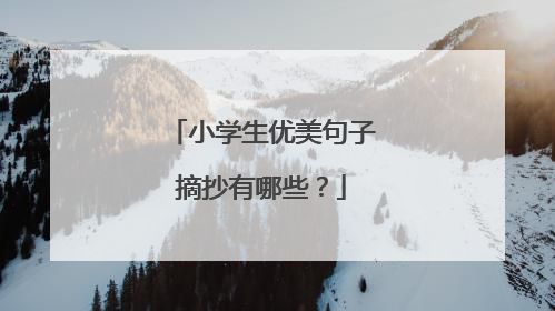 小学生优美句子摘抄有哪些？