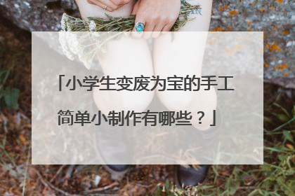 小学生变废为宝的手工简单小制作有哪些?
