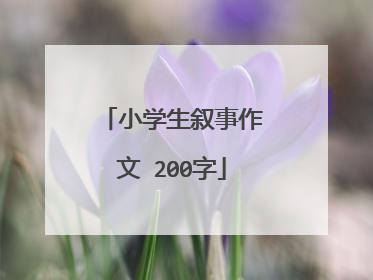 小学生叙事作文 200字
