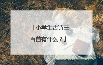 小学生古诗三百首有什么？