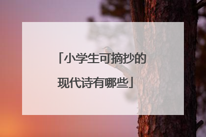 小学生可摘抄的现代诗有哪些