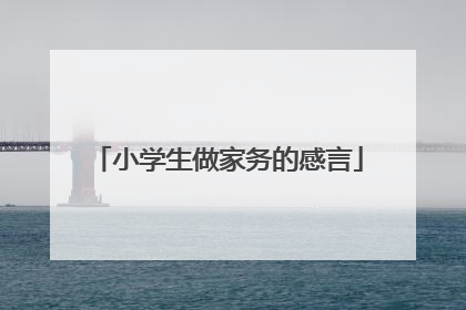小学生做家务的感言