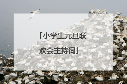 小学生元旦联欢会主持词
