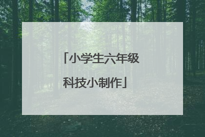 小学生六年级科技小制作