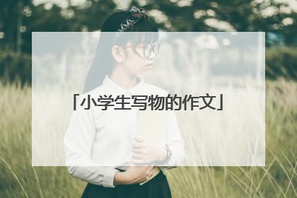 小学生写物的作文