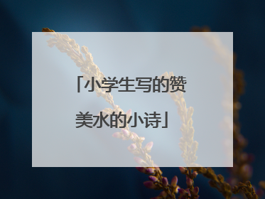 小学生写的赞美水的小诗