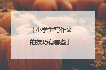 小学生写作文的技巧有哪些