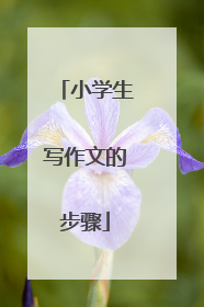 小学生写作文的步骤