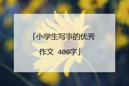 小学生写事的优秀作文 400字