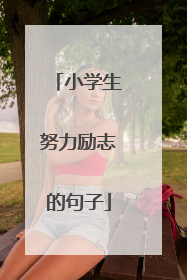 小学生努力励志的句子