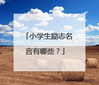 小学生励志名言有哪些?