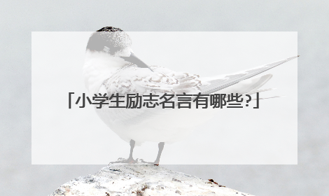 小学生励志名言有哪些?