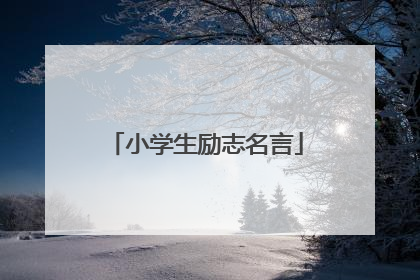 小学生励志名言