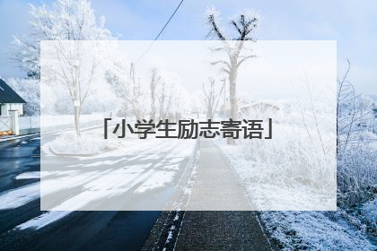 小学生励志寄语