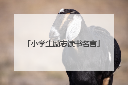 小学生励志读书名言