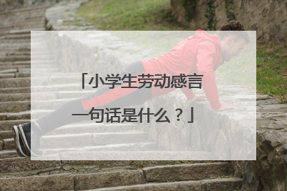 小学生劳动感言一句话是什么?