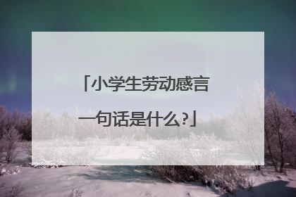 小学生劳动感言一句话是什么?