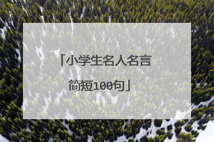 小学生名人名言简短100句
