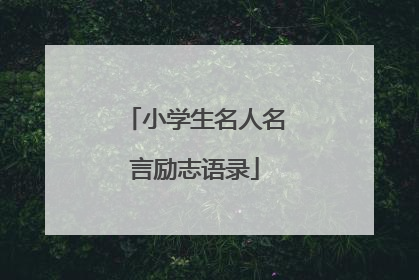 小学生名人名言励志语录