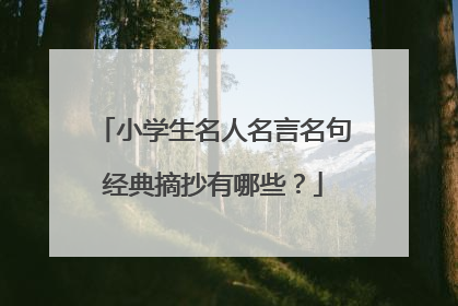 小学生名人名言名句经典摘抄有哪些?