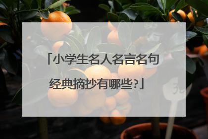 小学生名人名言名句经典摘抄有哪些?