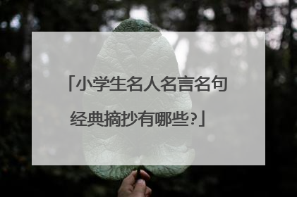 小学生名人名言名句经典摘抄有哪些?