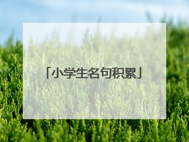 小学生名句积累