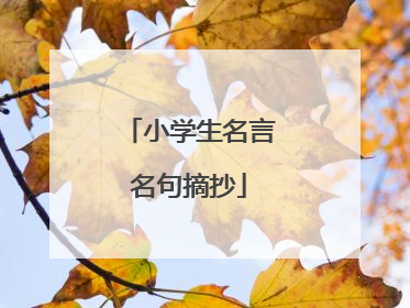 小学生名言名句摘抄