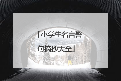 小学生名言警句摘抄大全