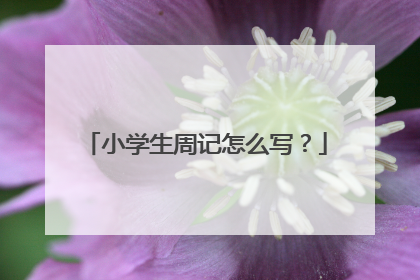 小学生周记怎么写?