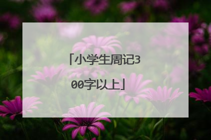 小学生周记300字以上