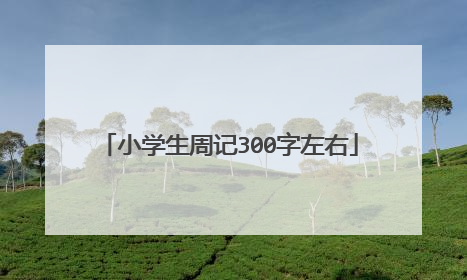小学生周记300字左右