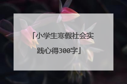 小学生寒假社会实践心得300字
