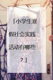 小学生寒假社会实践活动有哪些?