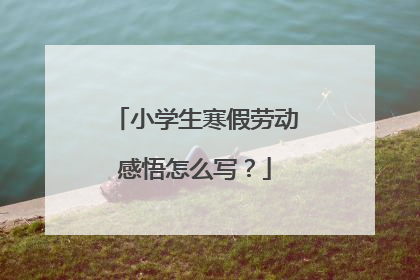 小学生寒假劳动感悟怎么写?