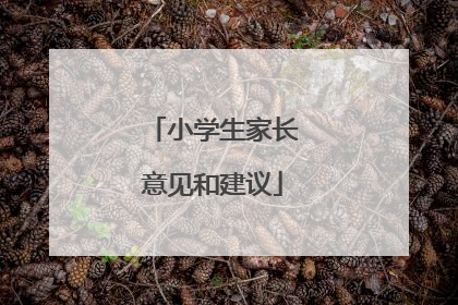 小学生家长意见和建议