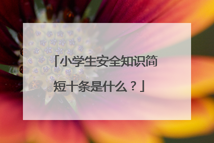 小学生安全知识简短十条是什么?