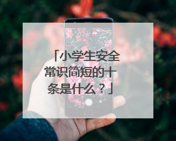 小学生安全常识简短的十条是什么?