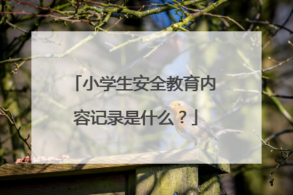 小学生安全教育内容记录是什么？