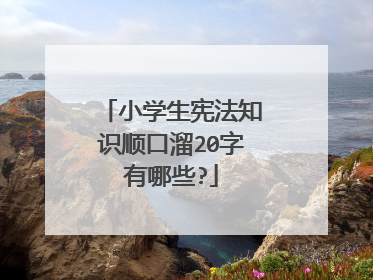 小学生宪法知识顺口溜20字有哪些?