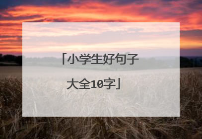 小学生好句子大全10字