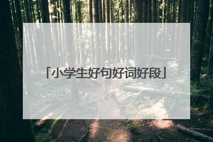 小学生好句好词好段