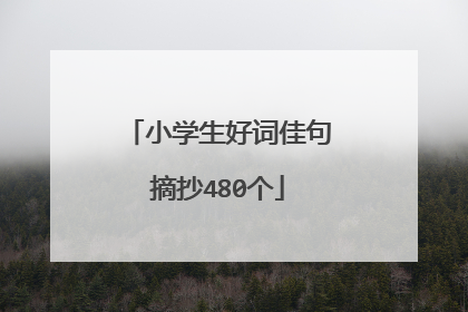 小学生好词佳句摘抄480个