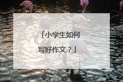 小学生如何写好作文?