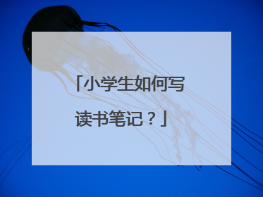 小学生如何写读书笔记?