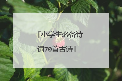 小学生必备诗词70首古诗