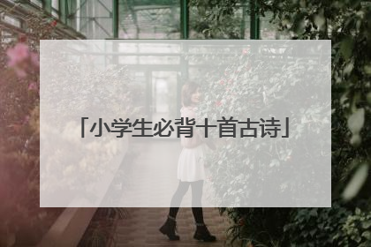 小学生必背十首古诗