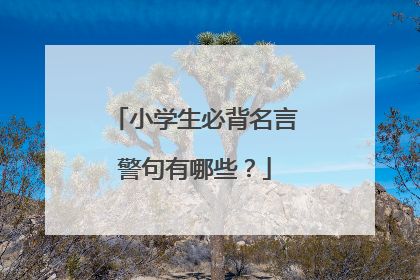 小学生必背名言警句有哪些?